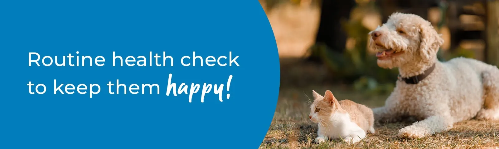 Routine health check to keep them happy!