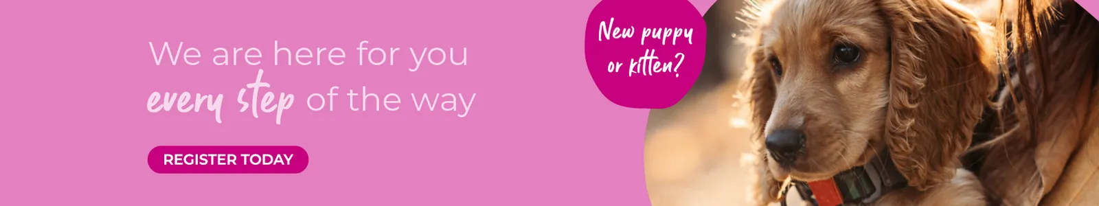 village vet practices banner 1600