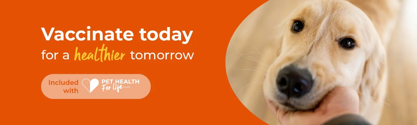 Vaccinations at VillageVet