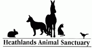 Heathlands Animal Sanctuary – An Animal Sanctuary with a difference!