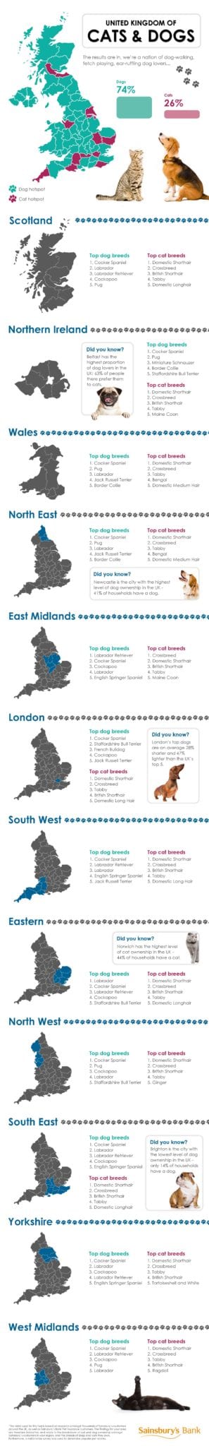 Pet-Map-Full-Infographic