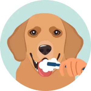 Dog Brushing teeth