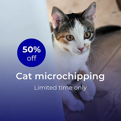 microchipping cat 50% off